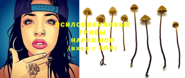 ALPHA PVP Белокуриха
