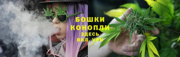 PSILOCYBIN Белоозёрский