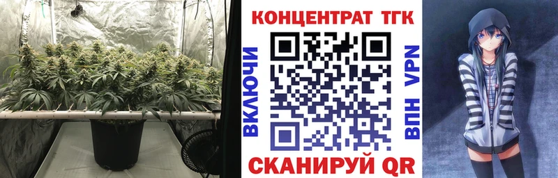 Дистиллят ТГК Wax  Ершов 